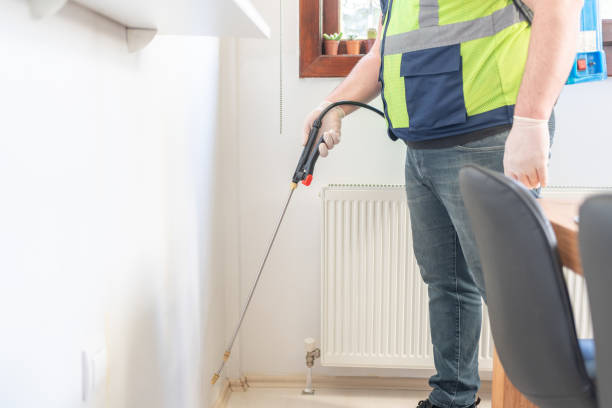 Best Wasp Removal Services  in Goldsboro, NC