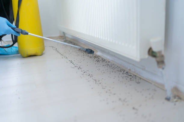 Best Affordable Pest Control Services  in Goldsboro, NC