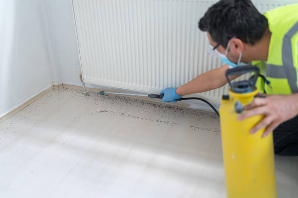 Best Best Pest Control Companies  in Goldsboro, NC